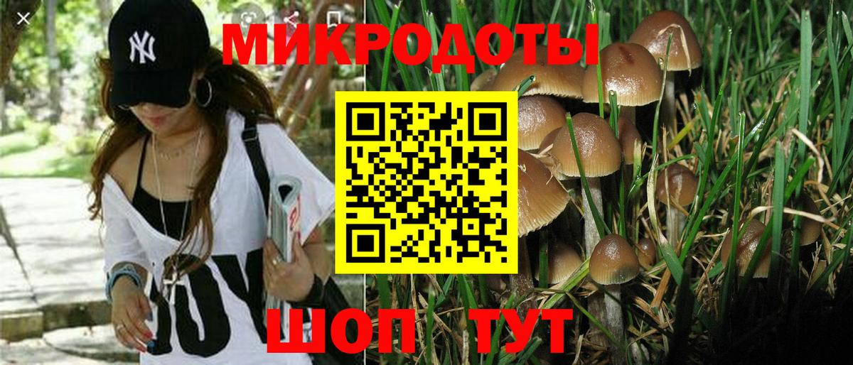 Каменка  Псилоцибиновые грибы GOLDEN TEACHER  Галлюциногенные грибы Magic Shrooms  Вход с VPN 